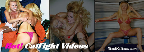 Catfight-Video-0924.jpg